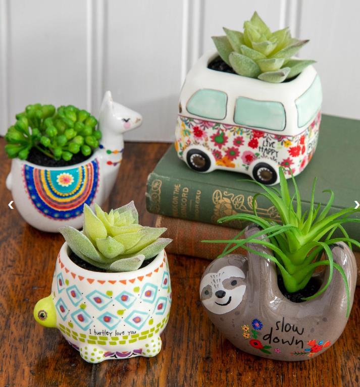hello succulents Sloth Faux Succulent
