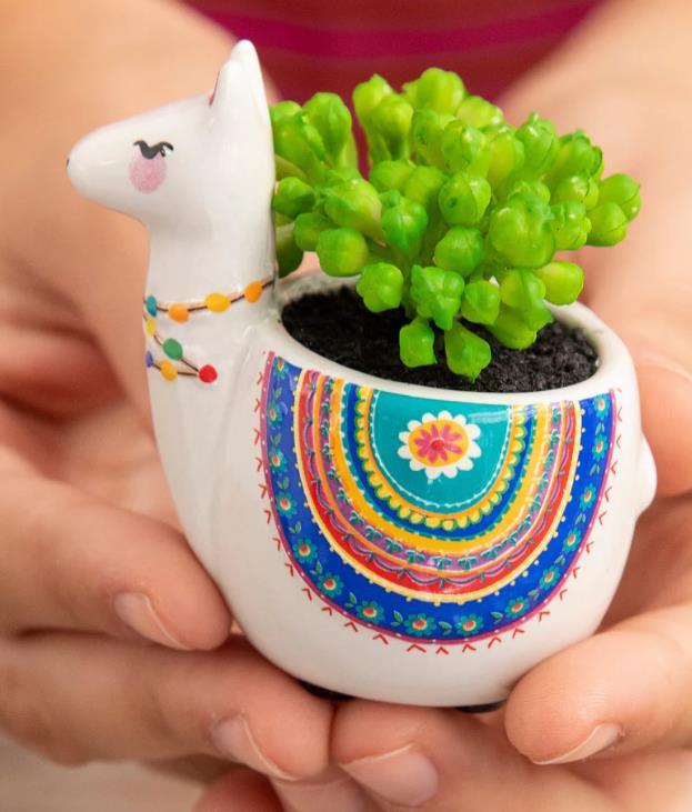 Llama Mini Succulent Vase