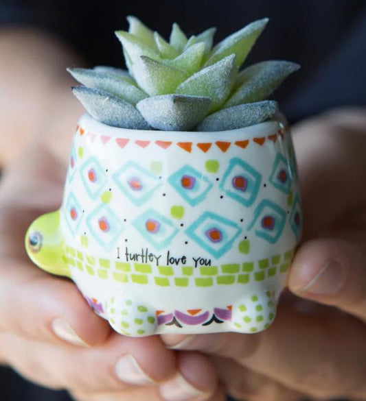 Turtely Love You Succulent Vase