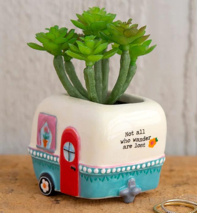 Mini Camper Succulent
