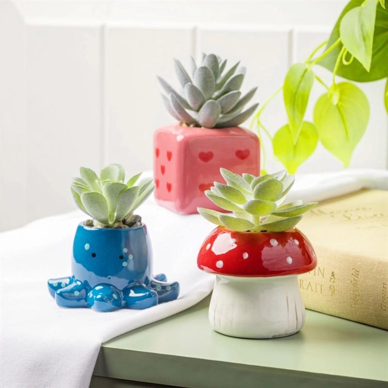 Dice Shaped Succulent Pot