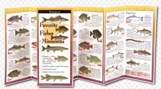 Favorite Fishes of Minnesota Waterproof Guide