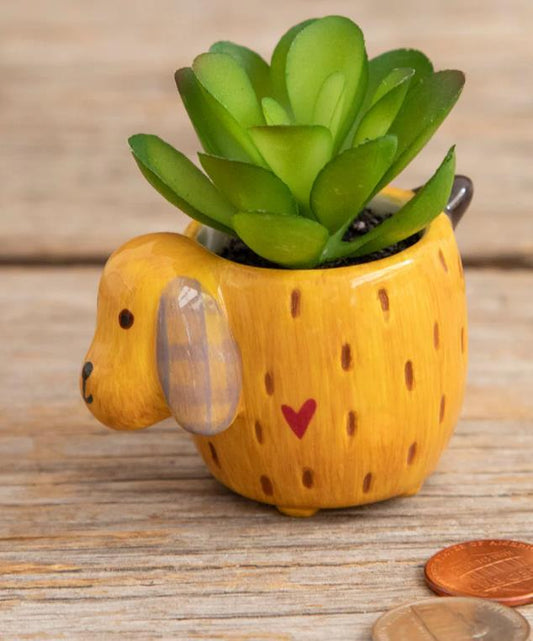 Yellow Dog Mini Succulent