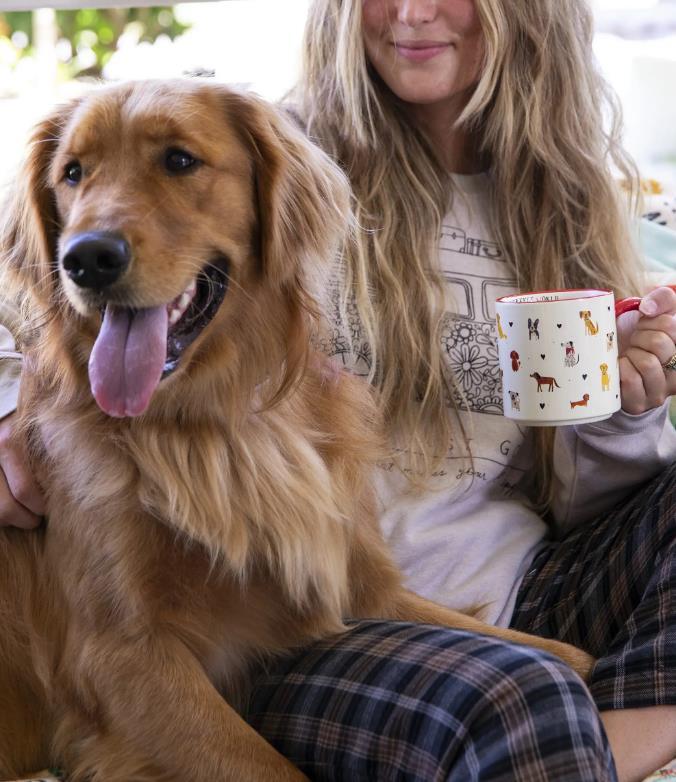 Every Home Has A Dog Bungalow Mug