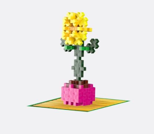 Sociable Sunflower ++ Plant