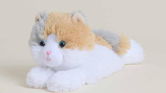Cat Warmie Jr