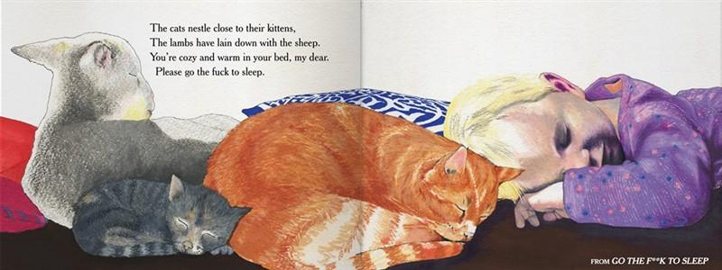 Go The F*ck To Sleep Book