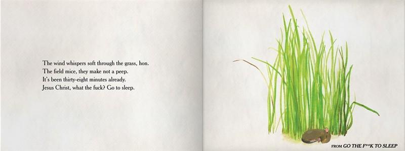 Go The F*ck To Sleep Book