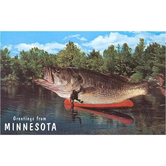 Giant Fish Postcard Greetings from Minnesota