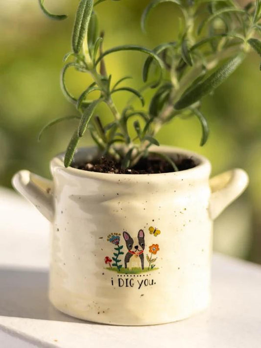 Crock Planter - I Dig You Small
