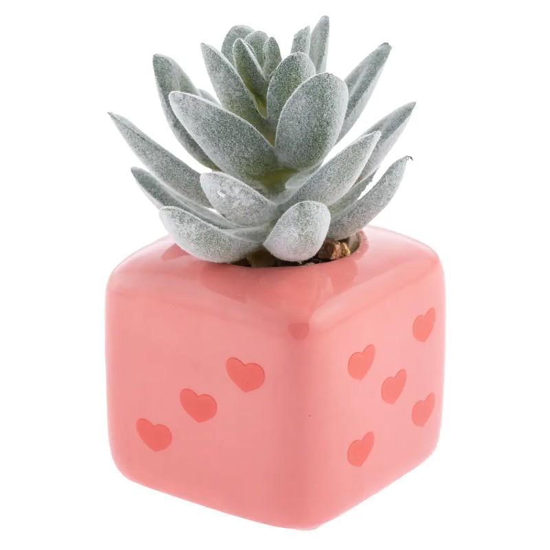 Dice Shaped Succulent Pot
