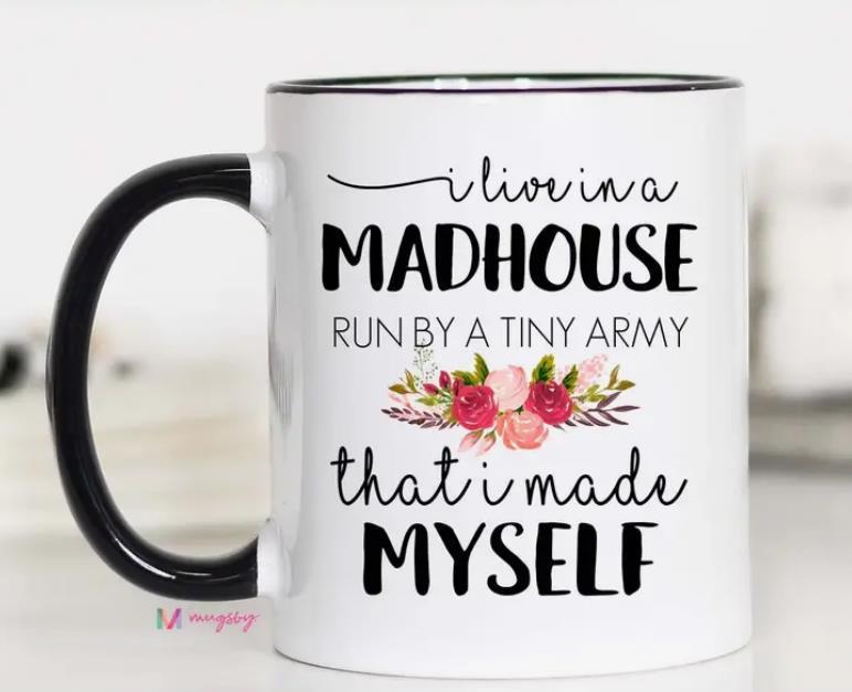 I Live In A Madhouse Mug